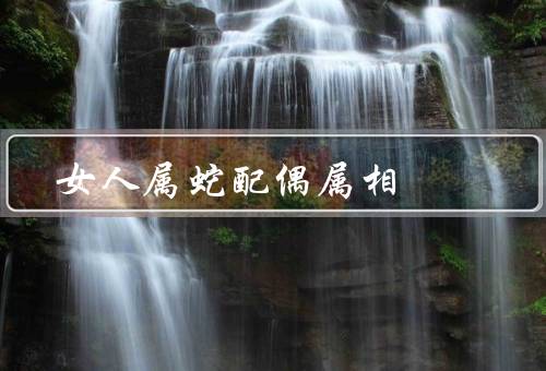 女人属蛇最佳配偶属相（相貌出众／聪明智慧／善良温柔）
