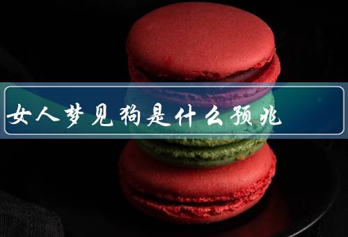 女人梦见狗是什么预兆，忠诚的代表／保护的象征／直觉的象征