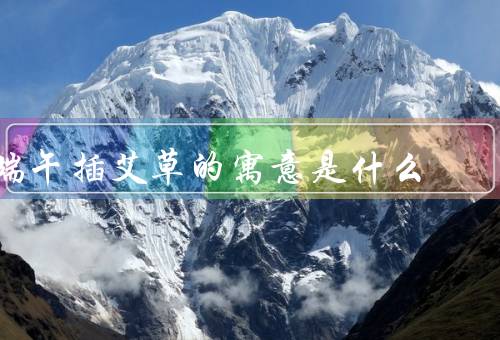 端午插艾草的寓意是什么，驱邪避疫／祈福平安／传承文化