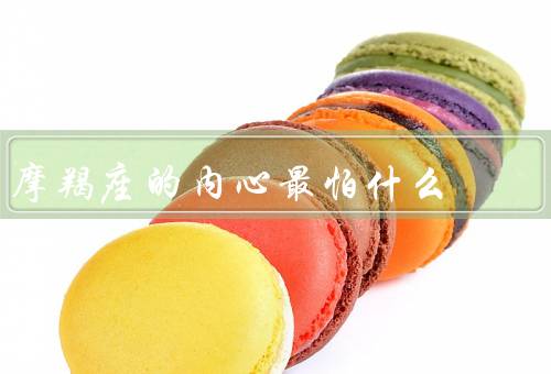 摩羯座的内心最怕什么，对失败的恐惧／被误解的痛苦