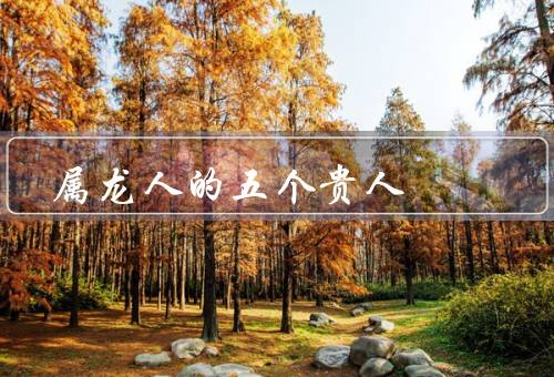 属龙人的五个贵人（骑马贵人／贵人星／文昌贵人）