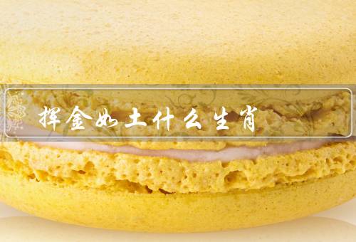 挥金如土什么生肖，属猴的人的特点／挥金如土的原因