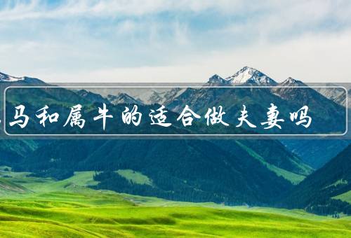 属马和属牛的适合做夫妻吗