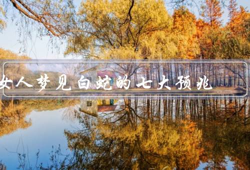 女人梦见白蛇的七大预兆