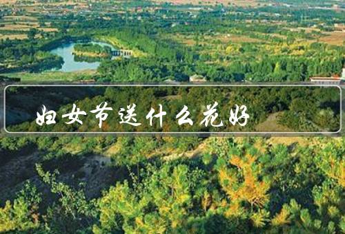 妇女节送什么花好
