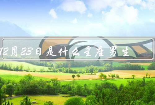 12月23日是什么星座男生（性格特点、爱情观、事业和金钱观）