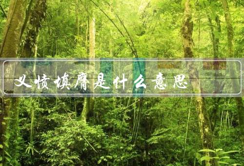 义愤填膺是什么意思（表现／意义）