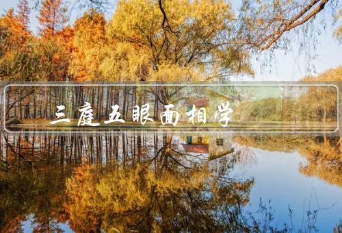 三庭五眼面相风水学，基本概念、面相特征、运势意义