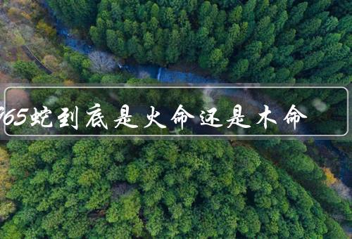 1965蛇到底是火命还是木命，火命的观点／木命的观点／结论