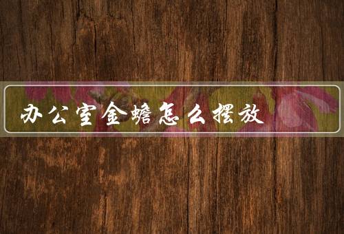 办公室金蟾怎么摆放，位置、方向、注意事项