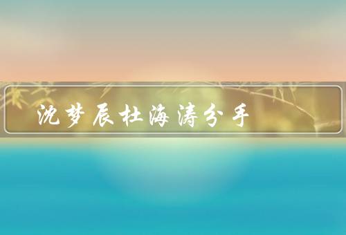 沈梦辰杜海涛分手