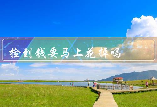 捡到钱要马上花掉吗（钱财来得容易、未来的需要、做个负责任的人）