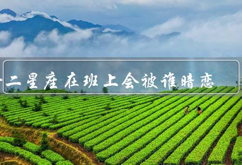 十二星座在班上会被谁暗恋（白羊座、金牛座、双子座）