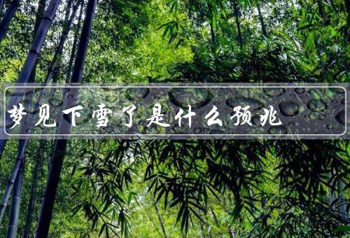 梦见下雪了是什么预兆，寓意新的开始／象征冷静和平静