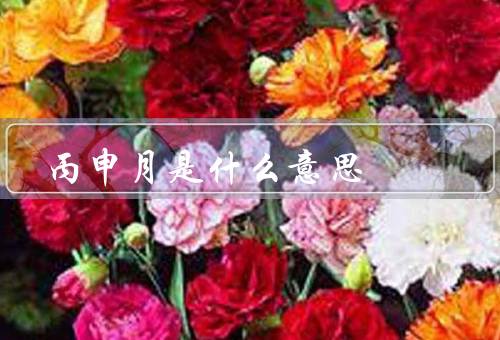 丙申月是什么意思，起源、象征意义、文化活动