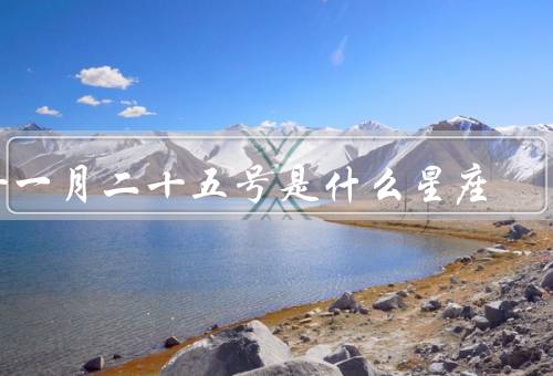 十一月二十五号是什么星座（射手座特点、性格特点、职业选择）