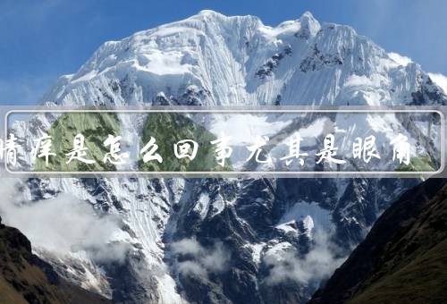 眼睛痒是怎么回事尤其是眼角，眼部疾病／过敏反应／干眼症