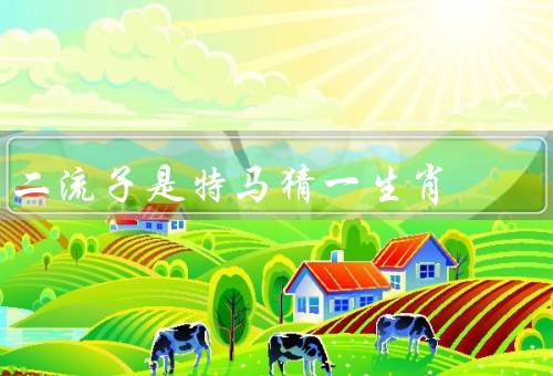 二流子是特马猜一生肖，起源／流行程度／风险和争议