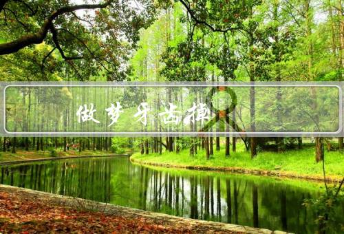 做梦牙齿掉 一吐一把，心理学解释／文化解释／如何应对梦到