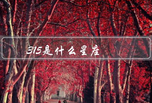 315是什么星座（特点／优点／缺点）