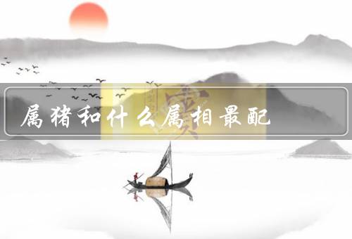 属猪和什么属相最配（属猪的人／属兔的人／最配的属相：属兔的人）