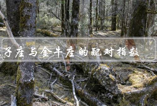 双子座与金牛座的配对指数，交流／价值观／性格互补