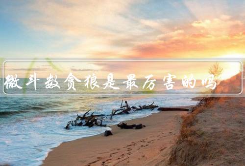 紫微斗数贪狼是最厉害的吗（位置、特性、局限性）