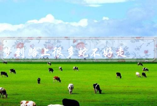 梦到路上很多蛇不好走（路上的蛇、困惑与挣扎、勇敢面对）