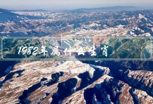 1982年属什么生肖，性格特点、职业发展、爱情和家庭