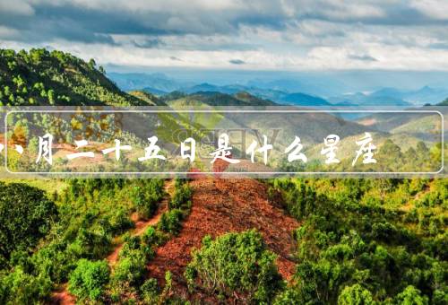 八月二十五日是什么星座，性格特点／爱情观／职业发展
