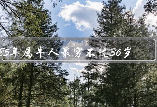 85年属牛人最穷不过36岁，财富的短暂辉煌／人生的起伏波折