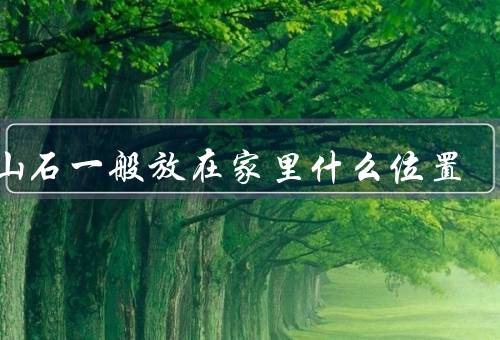 泰山石一般放在家里什么位置，客厅、餐厅、卧室