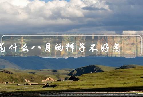 为什么八月的狮子不好惹，自信的外表／火爆的个性／绝不服输的精神