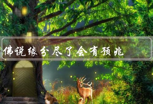 佛说缘分尽了会有预兆（夜晚的星空、多次的偶遇、心灵的不安）