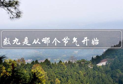 数九是从哪个节气开始，起源／特点／意义