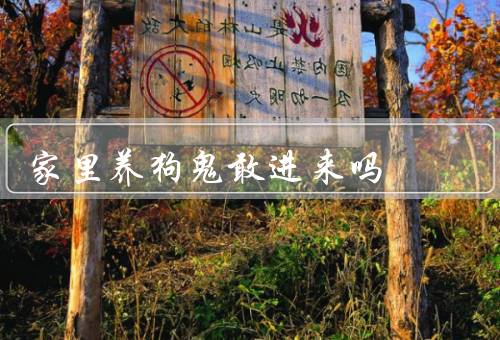 家里养狗鬼敢进来吗