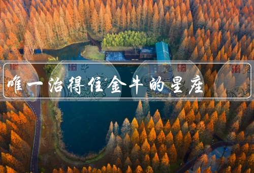 唯一治得住金牛的星座（天蝎座、摩羯座、巨蟹座）