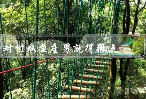对付双鱼座男就得狠点（利用他们的幻想、揭示现实的残酷）