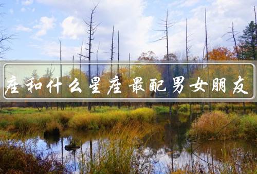 射手座和什么星座最配男女朋友，白羊座／狮子座／水瓶座