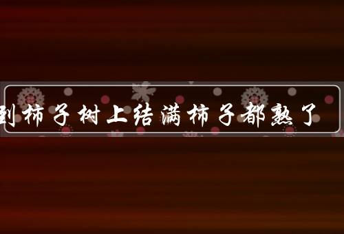 梦到柿子树上结满柿子都熟了，背景／柿子味道／寓意