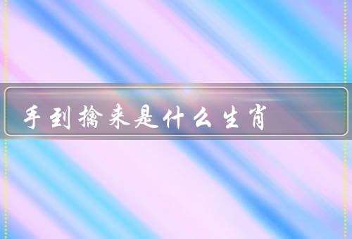 手到擒来是什么生肖（鼠／虎／龙）