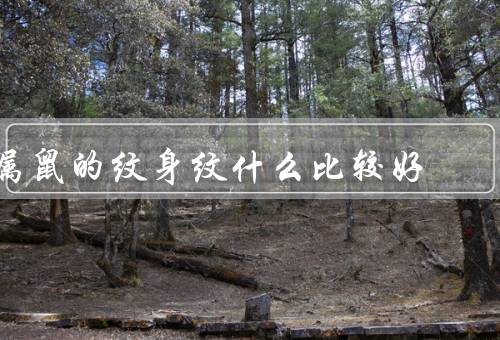 属鼠的纹身纹什么比较好，选择／风格／意义
