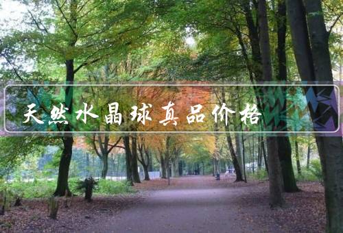 天然水晶球真品价格